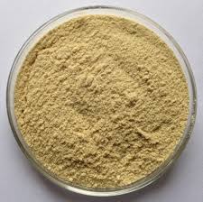 Manufacturers Exporters and Wholesale Suppliers of Cassia Tora Powder Jodhpur Rajasthan